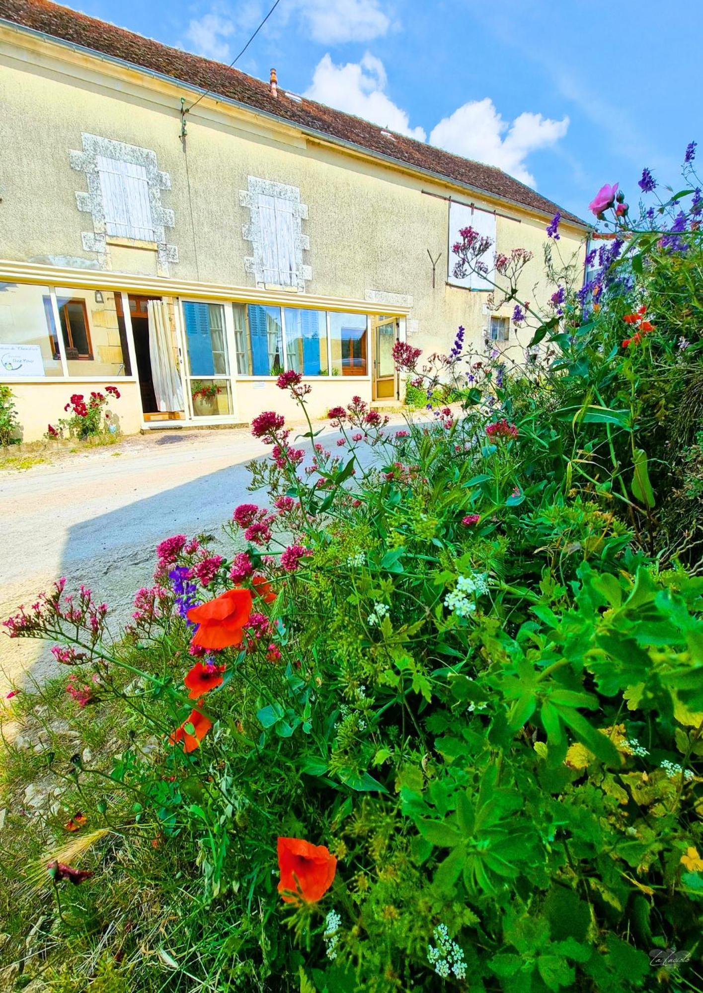 Location De Chambres Bienvenue Chez Meme Treigny Exterior foto